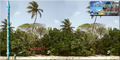 Seamless Palmtree Scenery