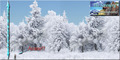 Winter Screen Transp. Sky