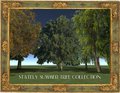 Tree Collections