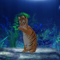 KittyCatS - Bengal Tiger