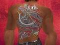 @AdReNaLiZeD@ Dragon