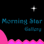 Morning Star Gallery 