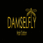 Damsefly Hair Salon