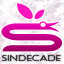 Sindecade - Crafted Skins