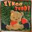 Zyngo Teddy