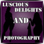 Luscious Delights & Photography